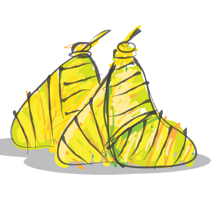 ketupat palas